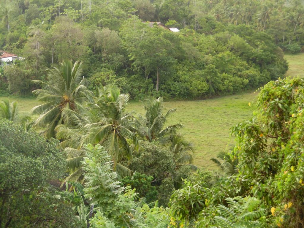 Mount View Villa Resort Mirissa Exterior foto