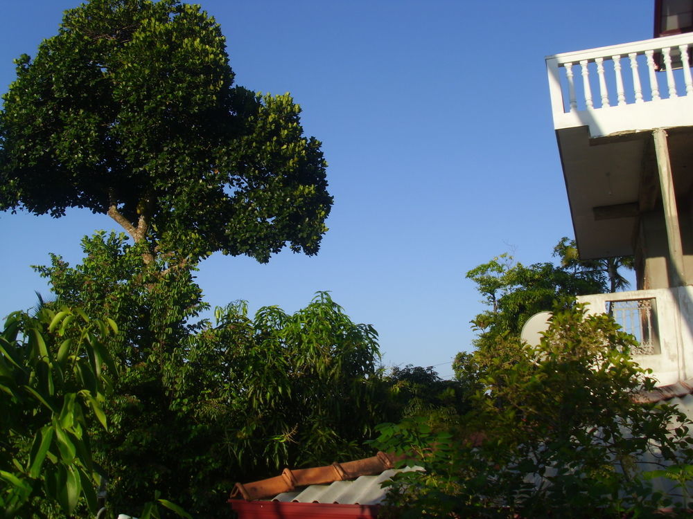 Mount View Villa Resort Mirissa Exterior foto